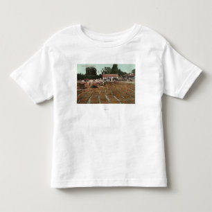 CaliforniaView der Pfirsiche, die im Sun trocknen Kleinkind T-shirt