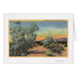 CaliforniaView der Rauch-Bäume in der Wüste