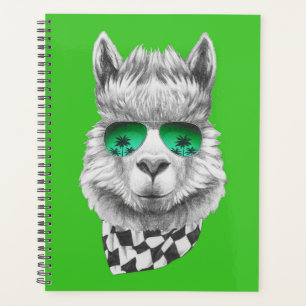 Californie llama