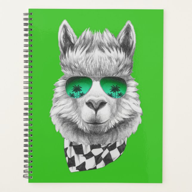 Californie llama (Devant)