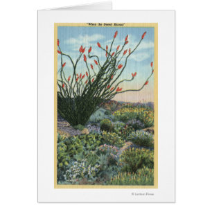 CalifornieVue sur les cactus en fleurs