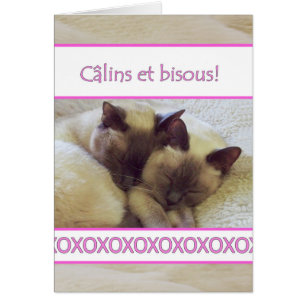 Câlins et bisous, Hugues et baisers en français