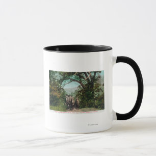 Calistoga und GeysirStagecoach auf Foss Straße Tasse