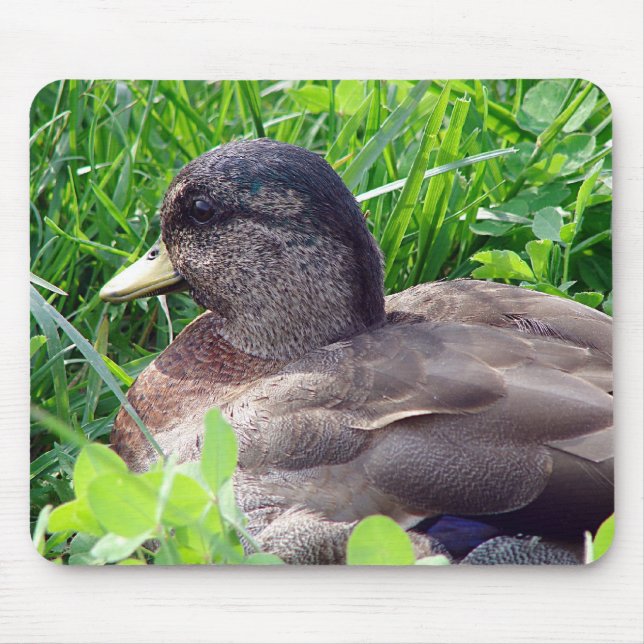 Call Duck Drake Mousepad (Vorne)
