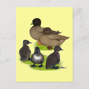 Call Duck Khaki Family Postkarte