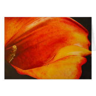 Calla