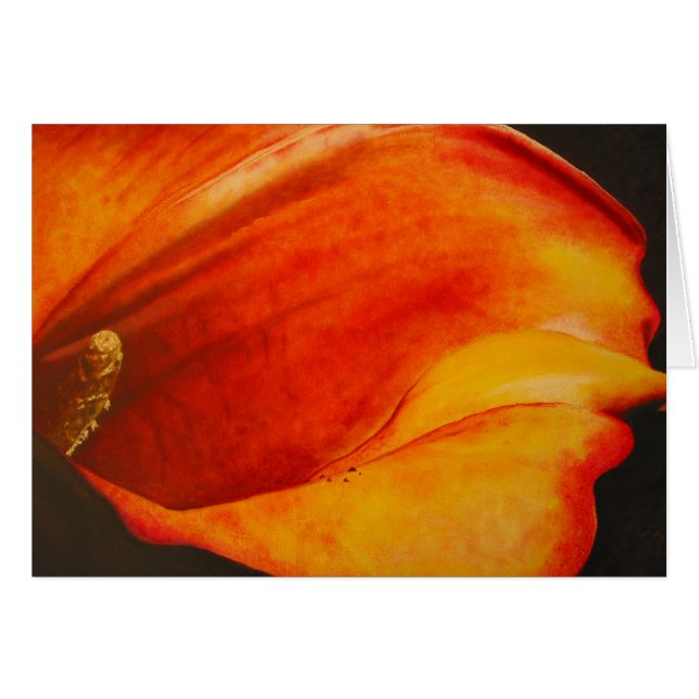 Calla (Devant horizontal)