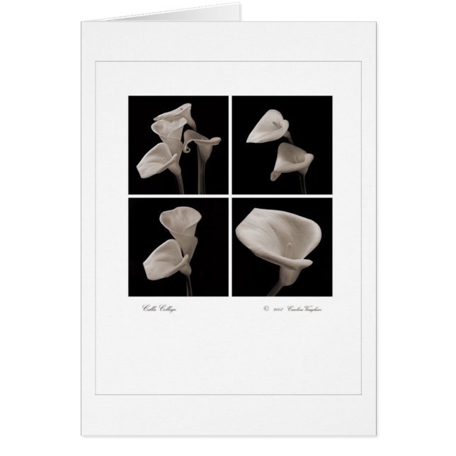 Calla_collage_2007_Brochure (Devant)