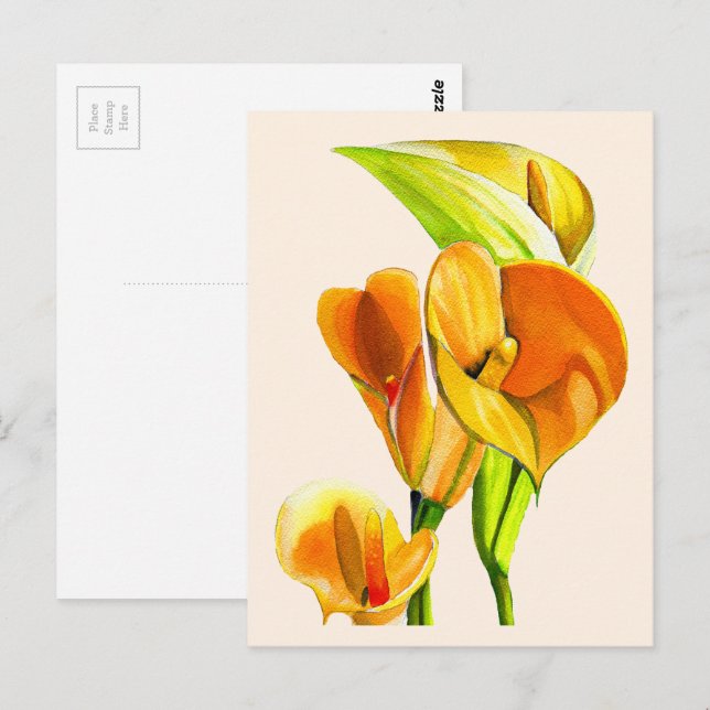 Calla liblütig Aquarellblüte Postkarte (Vorne/Hinten)