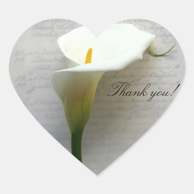 Calla Lilie auf alte Handschrift danke Herz-Aufkleber (Vorderseite)