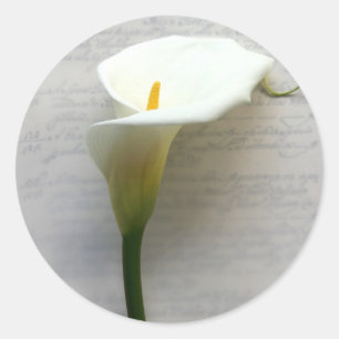 Calla-Lilie auf alten handgeschriebenen Rundaufkle Runder Aufkleber