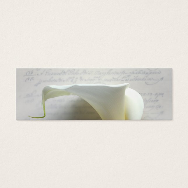 Calla-Lilie auf dem alten Script-Handschrift-Lesez (Vorderseite)