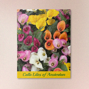 Calla Lilien aus Amsterdam