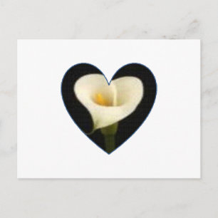 Calla-Lilien-Herz-Postkarte Postkarte
