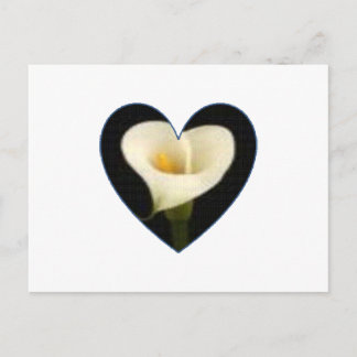 Calla-Lilien-Herz-Postkarte Postkarte