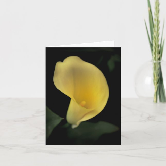 Calla-Lilien-Karte Feiertagskarte (Vorderseite)