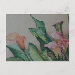 Calla Lilies Art Postcard Postkarte