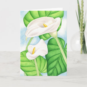 Calla Lilies Karte