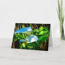 Calla Lilies Note Card Karte