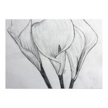 Calla Lilies Pencil Sketch Zeichnend Kunstdruckere