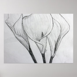Calla Lilies Pencil Sketch Zeichnend Kunstdruckere Poster