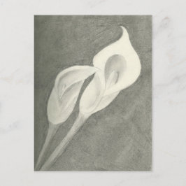 Calla Lilies Postkarte