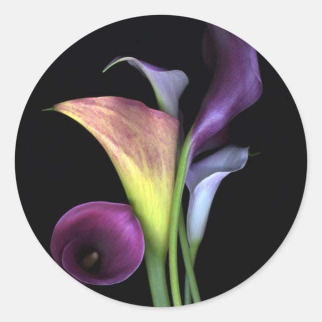 Calla Lilies Stickers (Vorderseite)