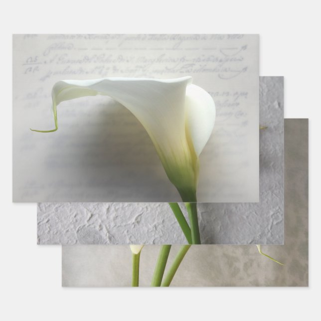 Calla lilies Wrapping Paper Set 3 Geschenkpapier Set (Set)
