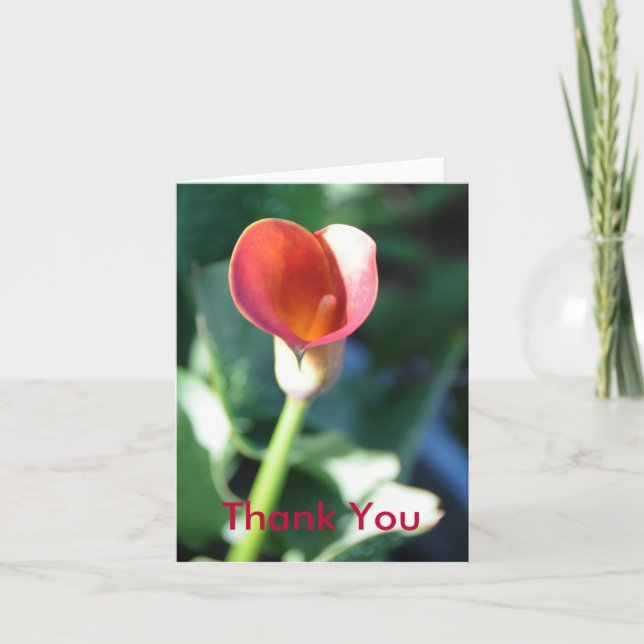Calla Lilly, danke (Vorderseite)