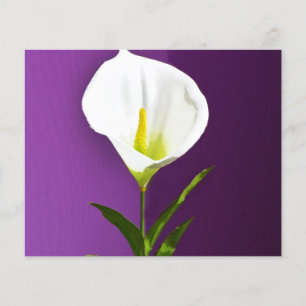 Calla Lilly Flyer
