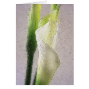 Calla Lily 1 Wassercolor