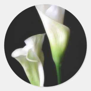 Calla Lily 2 Runder Aufkleber