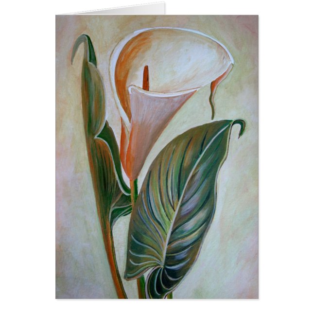 Calla Lily Beau Art Botanique (Devant)