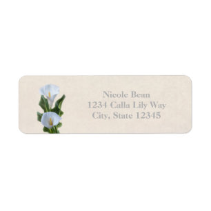 Calla Lily Blume Florenz Elegantes Brautparty