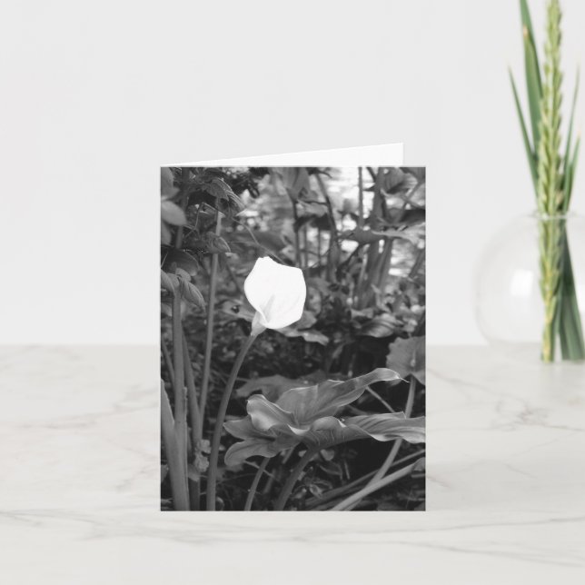 Calla Lily carte pour notes (Devant)