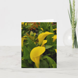 Calla lily dankeskarte