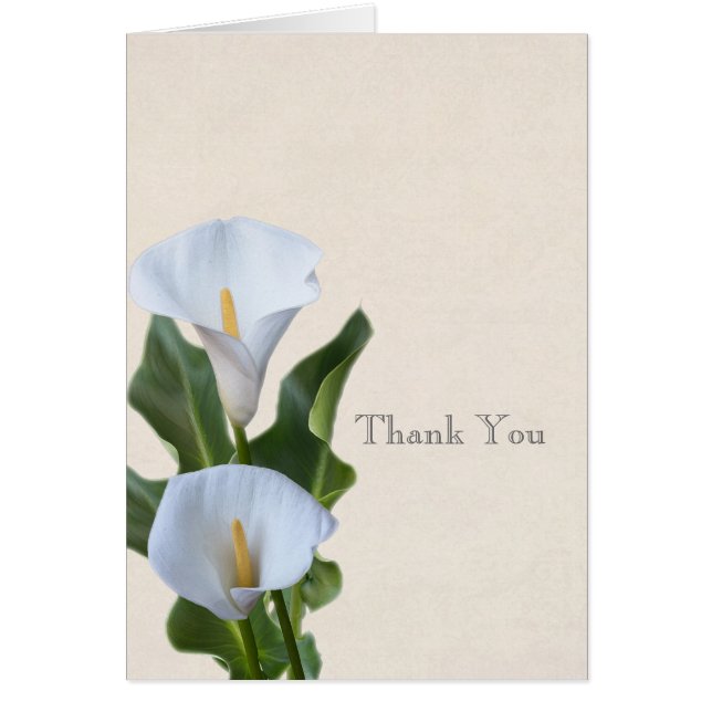 Calla Lily Fleurs Floral Élégant Mariage nuptial (Devant)