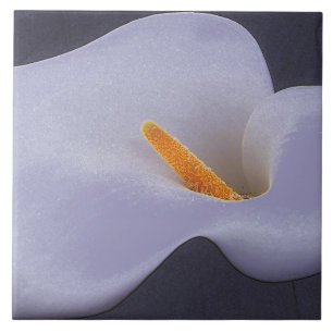 Calla Lily Illustration Carreaux céramiques collec