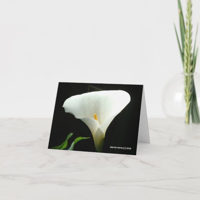 Calla Lily in Black Karte (Vorderseite)