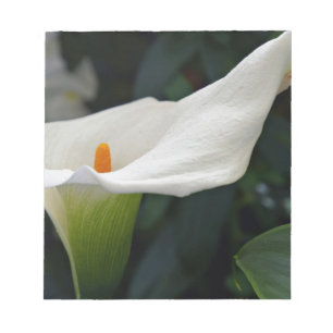 Calla Lily.JPG Notizblock