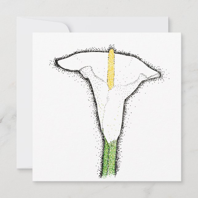 Calla Lily Mitteilungskarte (Vorderseite)