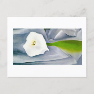 Calla Lily on Gray, Georgia O'Keeffe Postkarte
