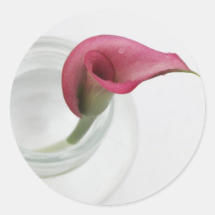 Calla Lily Runder Aufkleber