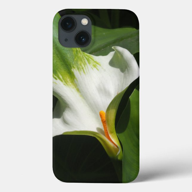 Calla Lily, Zantedeschia Case-Mate iPhone Hülle (Rückseite)
