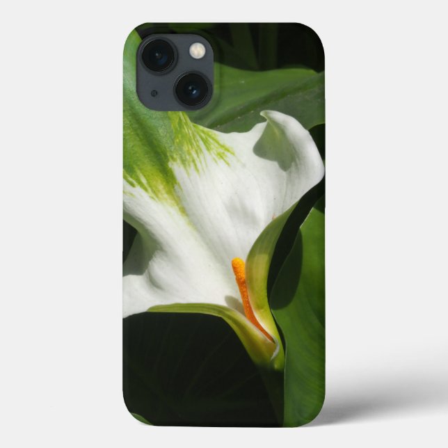 Calla Lily, Zantedeschia Case-Mate iPhone Hülle (Rückseite)