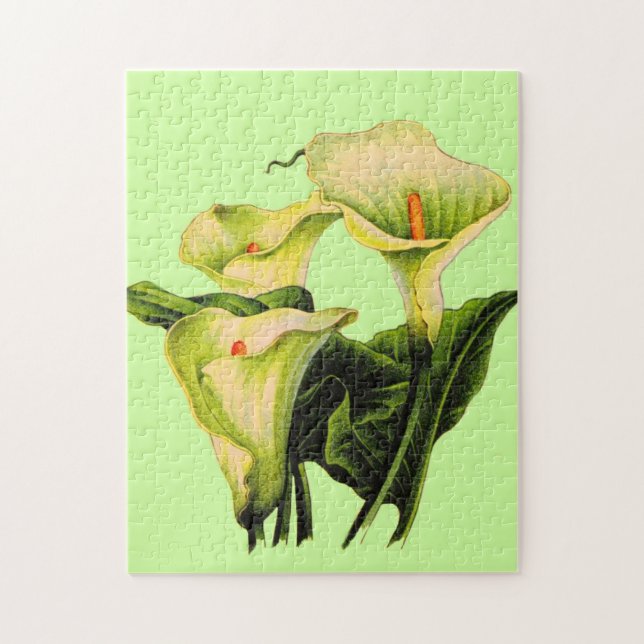 Calla lis (Vertikal)