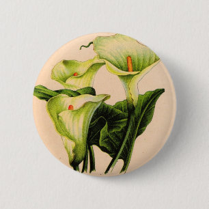 Calla lis button