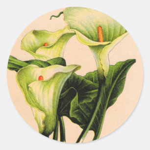 Calla lis runder aufkleber
