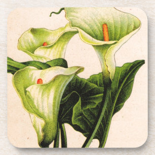 Calla lis untersetzer