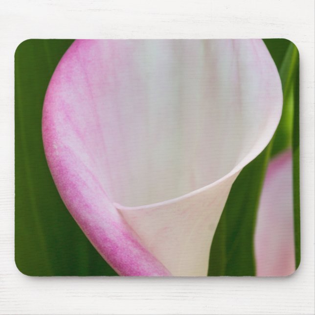 Calla Pano Mousepad (Vorne)